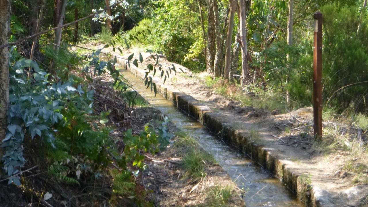 Casa Do Carril Villa Mondim de Basto Dış mekan fotoğraf
